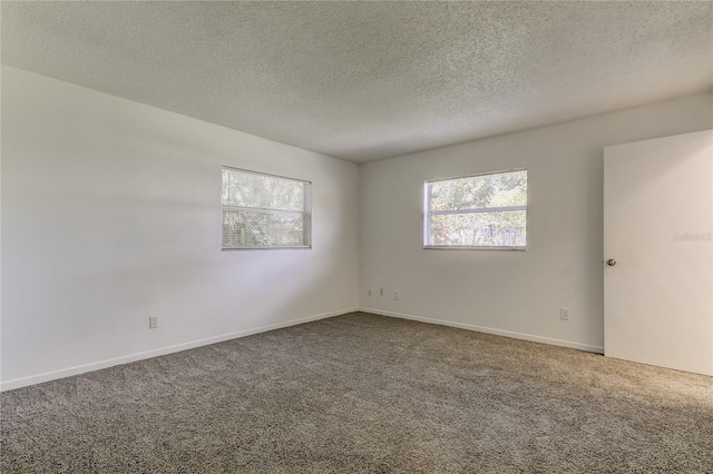 empty room featuring carpet and a textured ceiling