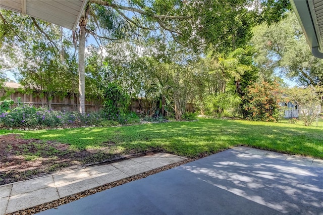 view of yard featuring a patio