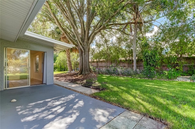 view of yard with a patio area