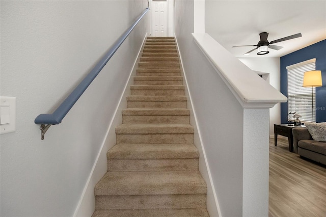 stairs featuring ceiling fan and hardwood / wood-style floors