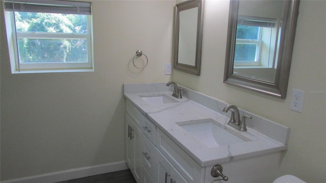 3225 Oakland Rd N, Lakeland, FL 33801 - full bath with a sink, baseboards, and a wealth of natural light