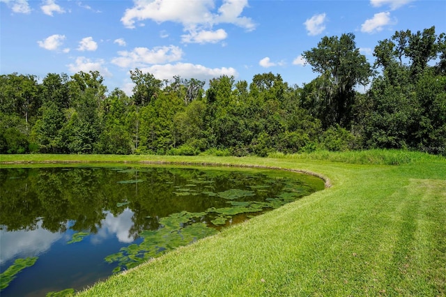 property view of water