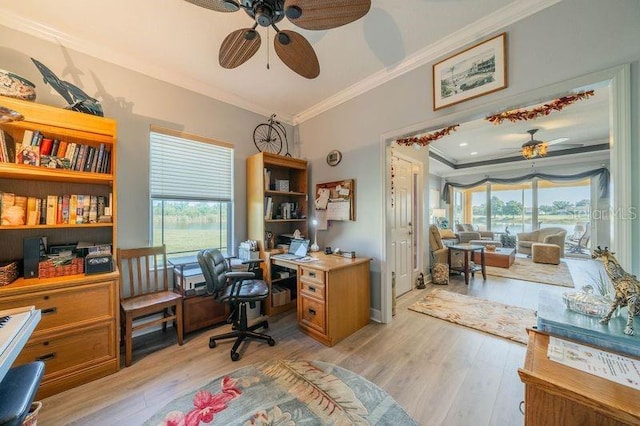 home office with ceiling fan, ornamental molding, and light hardwood / wood-style floors