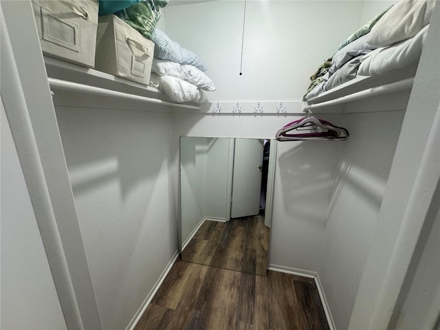 walk in closet with wood finished floors