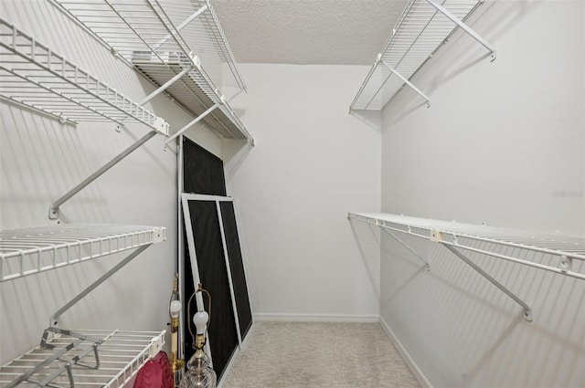 walk in closet with carpet floors