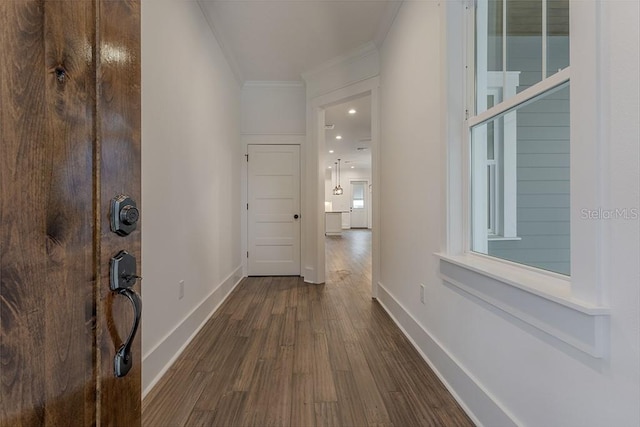 corridor with ornamental molding and dark hardwood / wood-style flooring