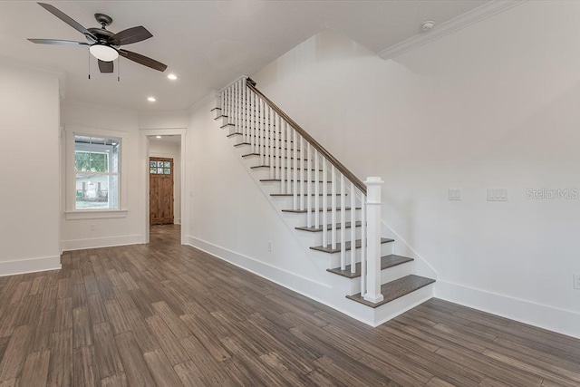 interior space featuring crown molding, hardwood / wood-style floors, and ceiling fan