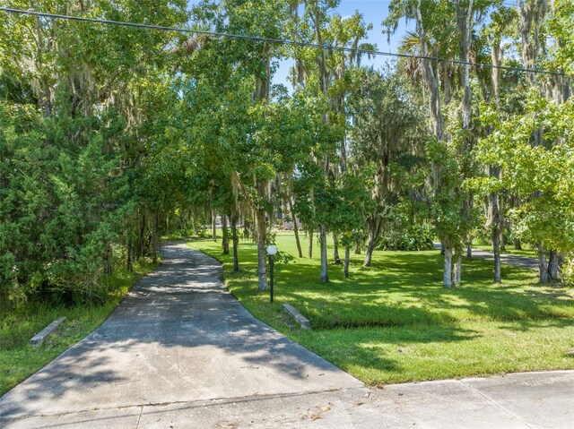 view of community featuring a lawn