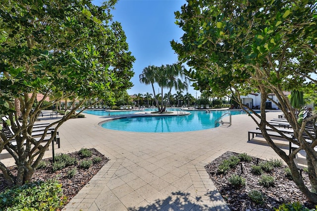 view of pool featuring a patio area