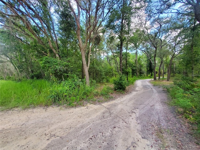 Berryhill Dr, Webster FL, 33597 land for sale