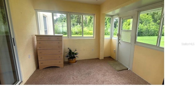 4432 Whitton Way, New Port Richey, FL 34653 - sunroom featuring plenty of natural light