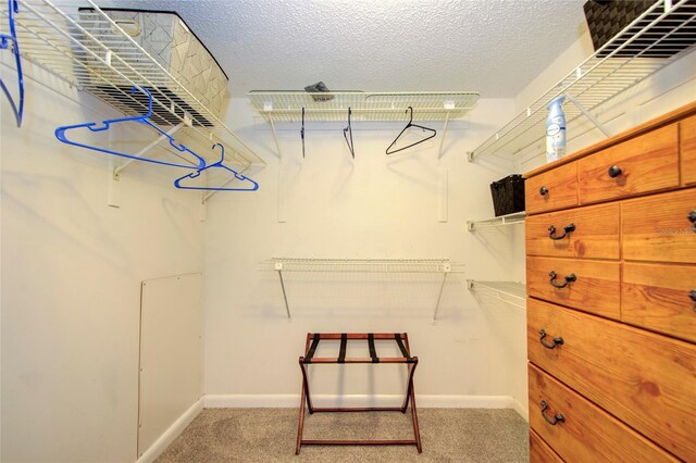 spacious closet with light colored carpet