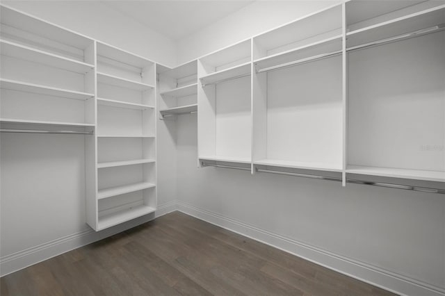 walk in closet featuring dark hardwood / wood-style flooring