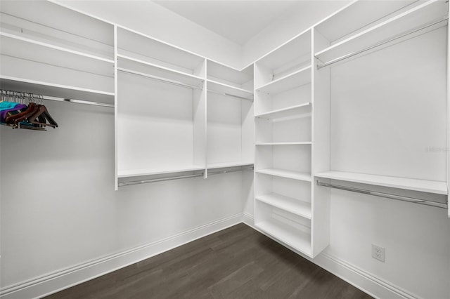 walk in closet featuring dark hardwood / wood-style floors