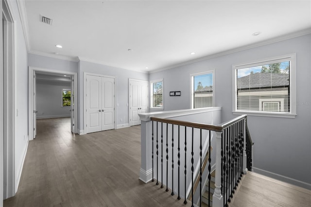 corridor with ornamental molding, a wealth of natural light, and dark hardwood / wood-style flooring