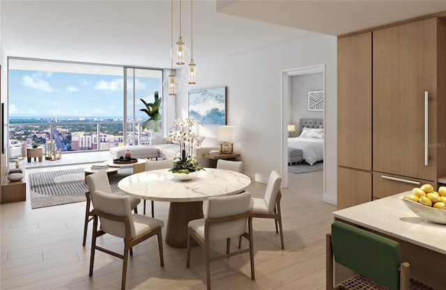 dining space with light hardwood / wood-style floors