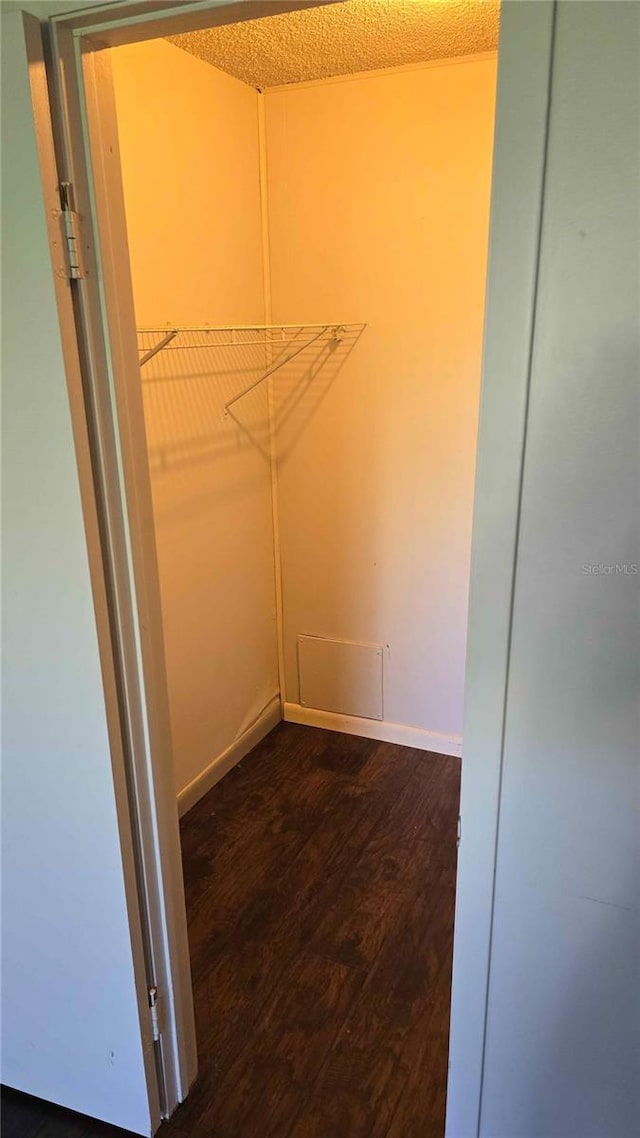 spacious closet featuring dark hardwood / wood-style flooring