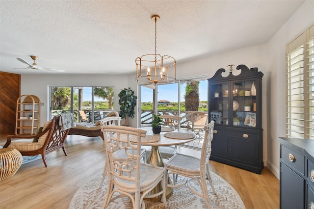 dining room with a textured ceiling, ceiling fan with notable chandelier, and light wood-type flooring