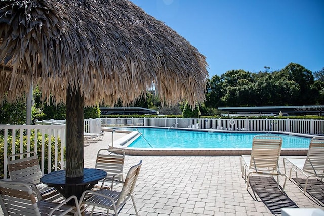 view of swimming pool with a patio