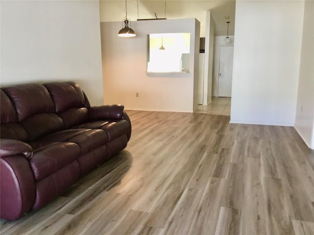 living room with hardwood / wood-style flooring