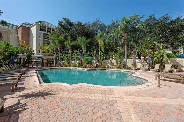 view of pool featuring a patio area