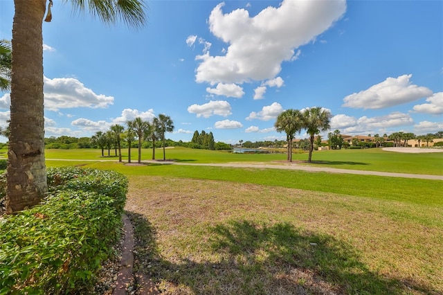 view of property's community featuring a yard