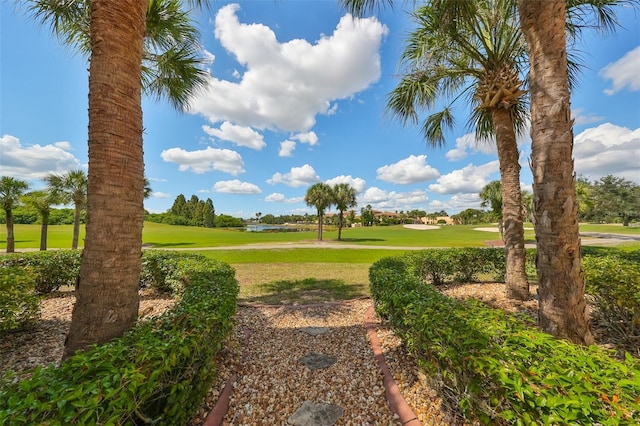 view of community with a lawn