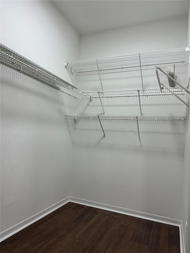 spacious closet featuring dark wood-style flooring