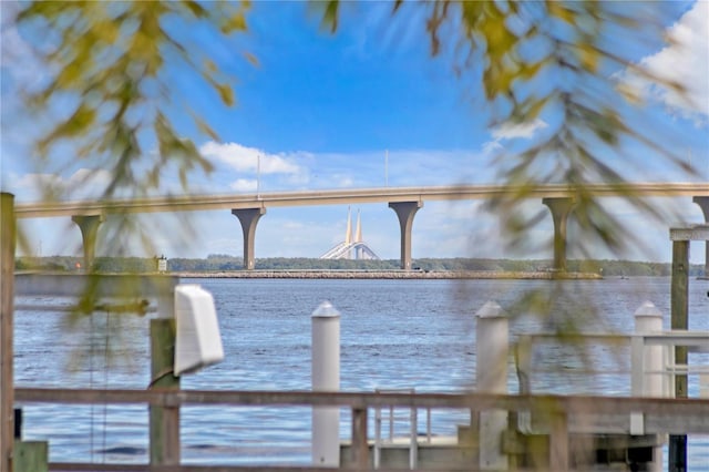 dock area with a water view