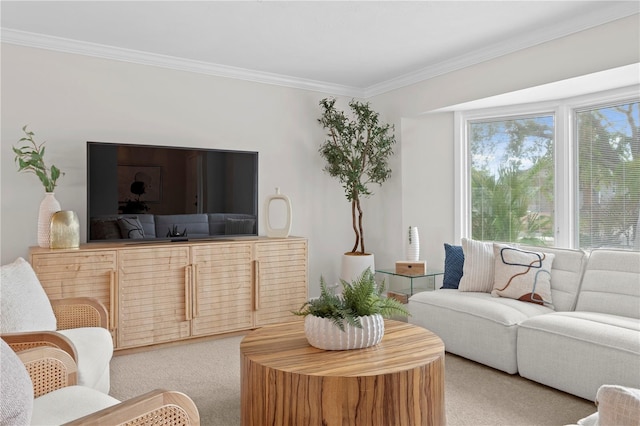 living room featuring light carpet and ornamental molding