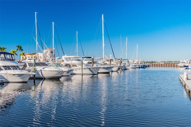 water view featuring a dock