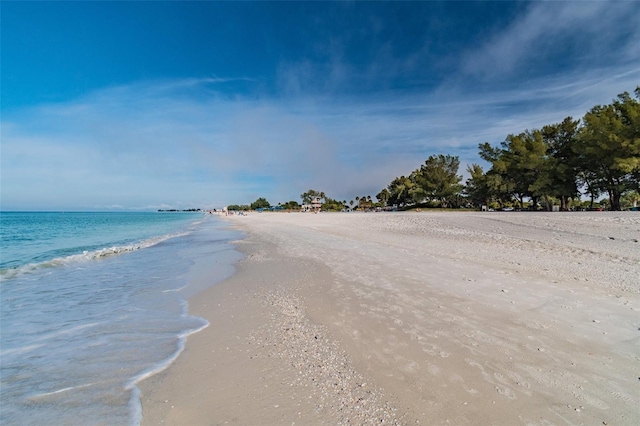 water view featuring a beach view