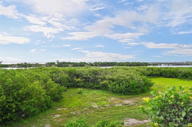 view of landscape featuring a water view