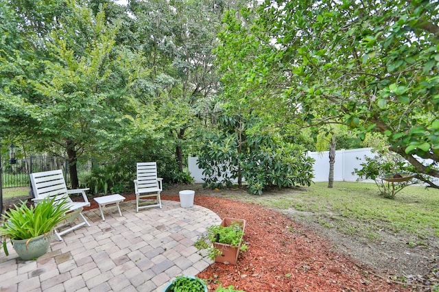 view of yard featuring a patio