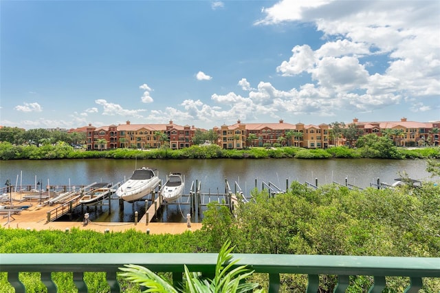 dock area with a water view