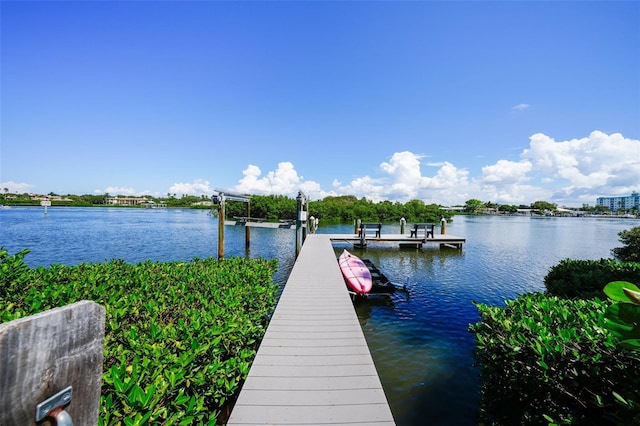 dock area with a water view