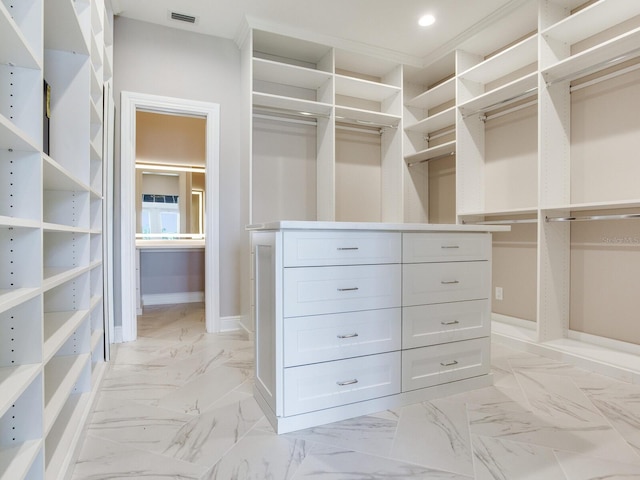 2509 N Dundee St, Tampa, FL 33629 - spacious closet with light marble finish flooring
