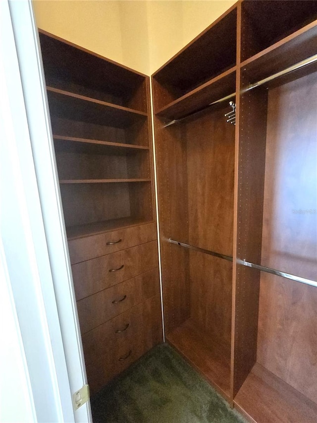 walk in closet featuring dark carpet