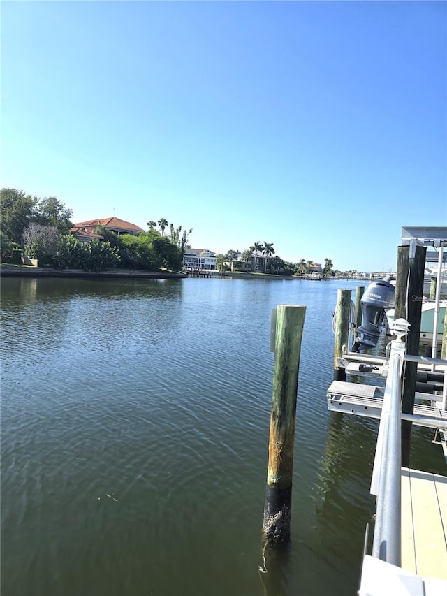 dock area with a water view