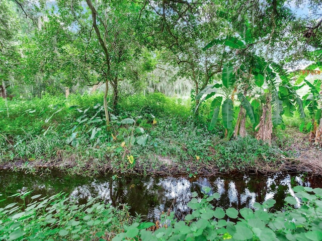 view of nature with a water view