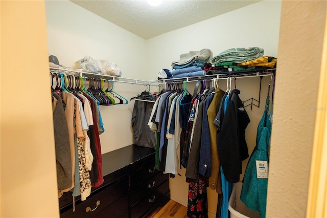 walk in closet with hardwood / wood-style flooring