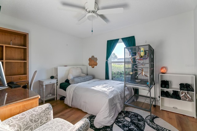 bedroom with ceiling fan and hardwood / wood-style floors