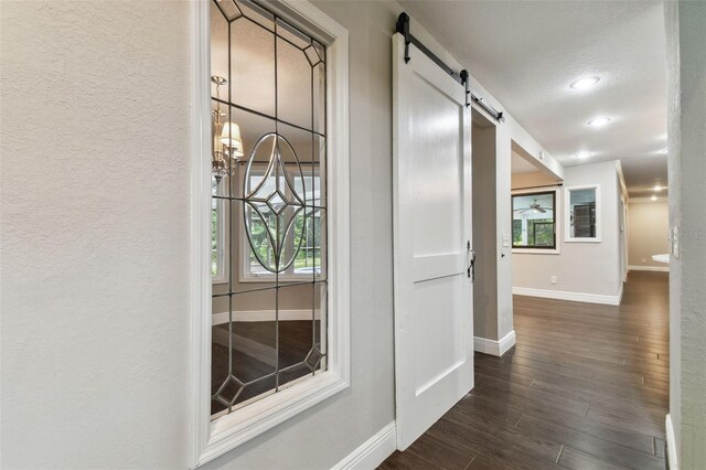 hallway featuring dark hardwood / wood-style floors and a barn door