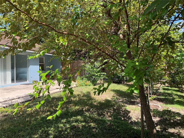 view of yard featuring a patio area