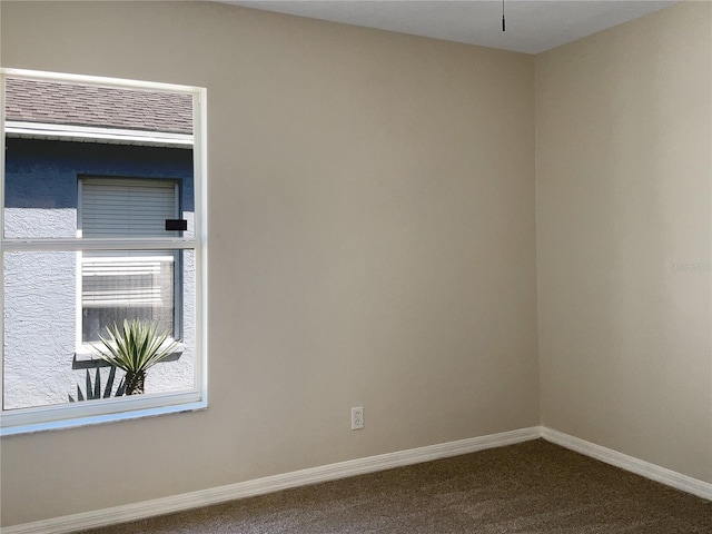 spare room featuring carpet floors