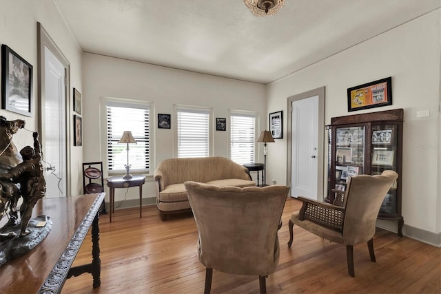 living room with wood-type flooring