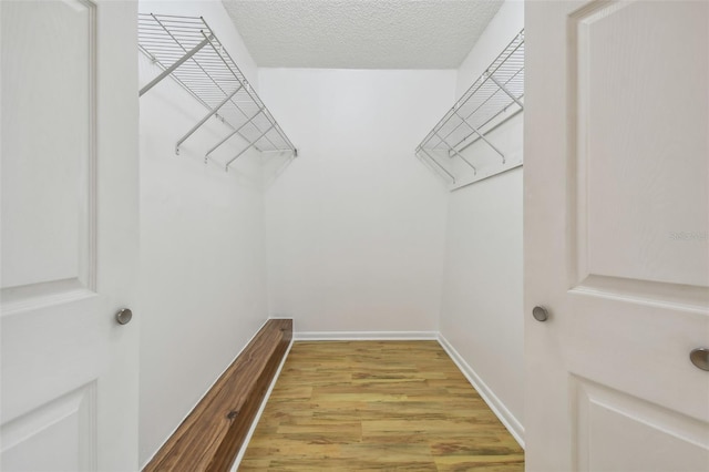 spacious closet with light hardwood / wood-style flooring