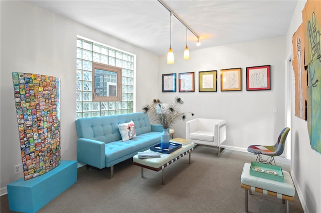 living area featuring carpet flooring and track lighting