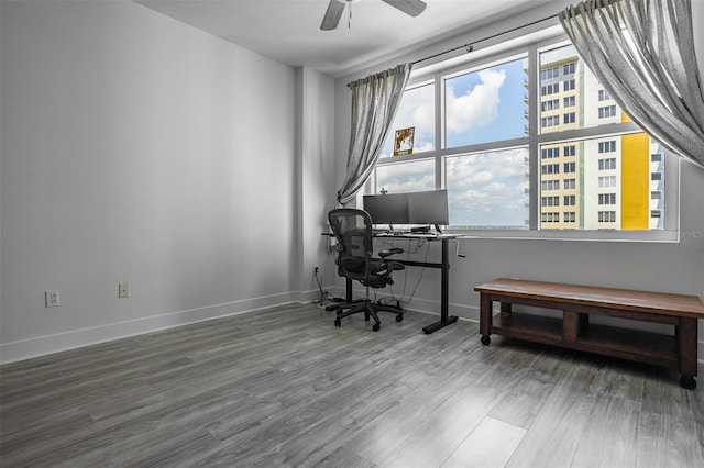 office area featuring ceiling fan and hardwood / wood-style floors