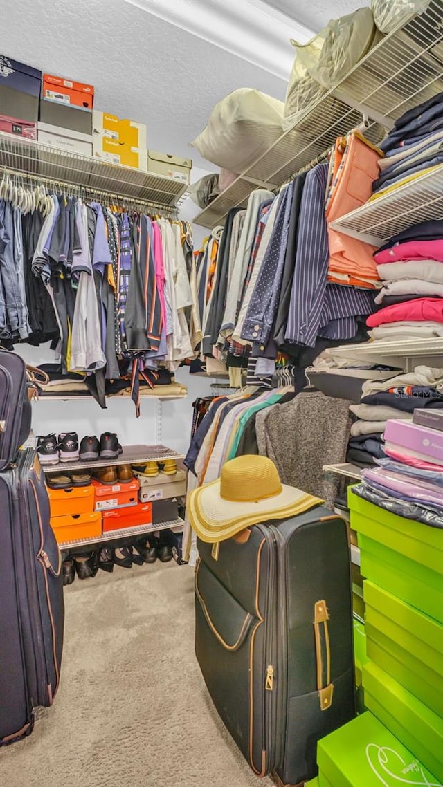 spacious closet with carpet